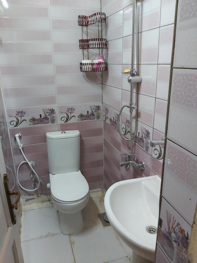 Otasho Nile View House Hotel Aswan Luaran gambar